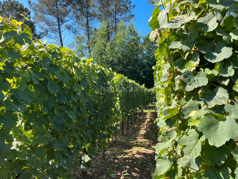 Foto 6253f790-b39b-460d-81c1-559a39391249. Casa con riscaldamento piscina in Beade