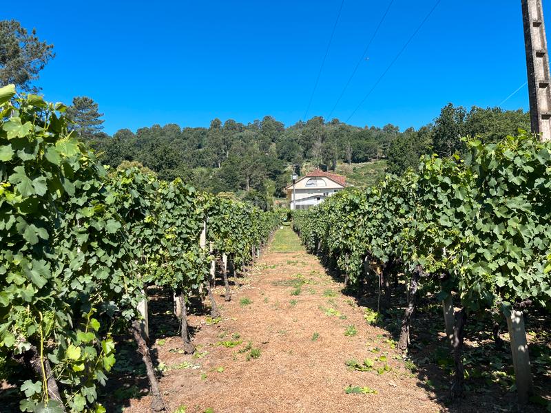 Foto 92fb1ce1-362a-4465-a8b8-f45fc224cedb. Casa con riscaldamento piscina in Beade