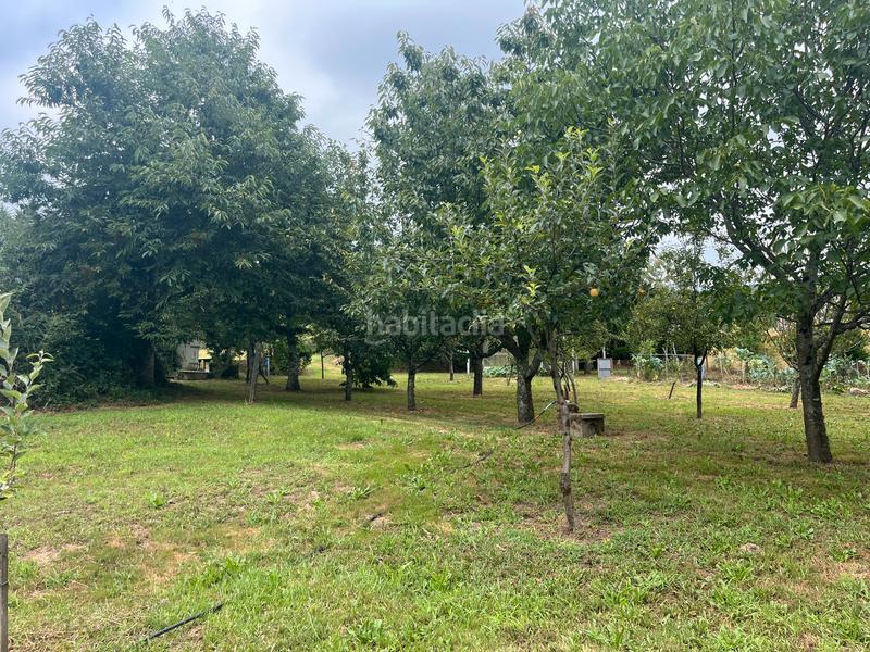 Foto 006c606c-fe98-482d-ab11-68eb3116c93e. Finca rústica fincas a la venta en paraños en Covelo (O)