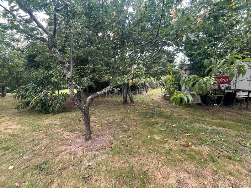 Foto 2de57e90-f1ee-440e-aebe-113e9f033549. Finca rústica fincas a la venta en paraños en Covelo (O)