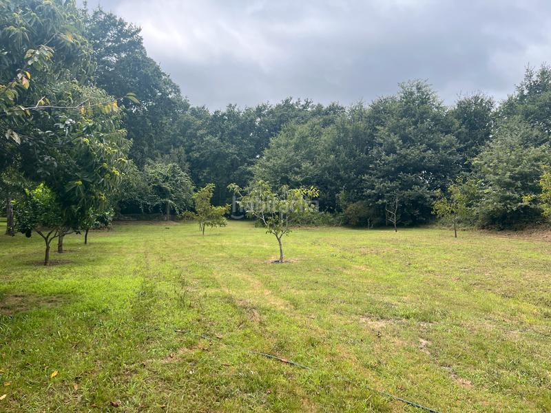 Foto 4fe385c0-0c39-490d-8eda-d5999ee240e3. Finca rústica fincas a la venta en paraños en Covelo (O)