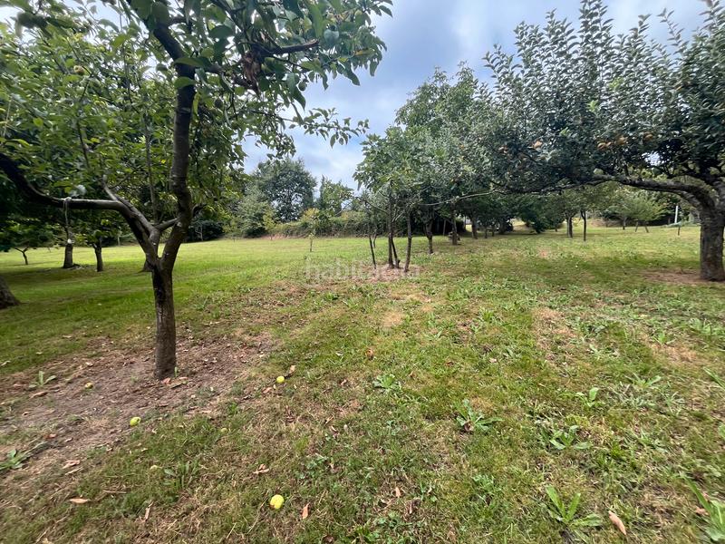 Foto 63386db6-46db-4f1d-bf01-a0af3b987974. Finca rústica fincas a la venta en paraños en Covelo (O)