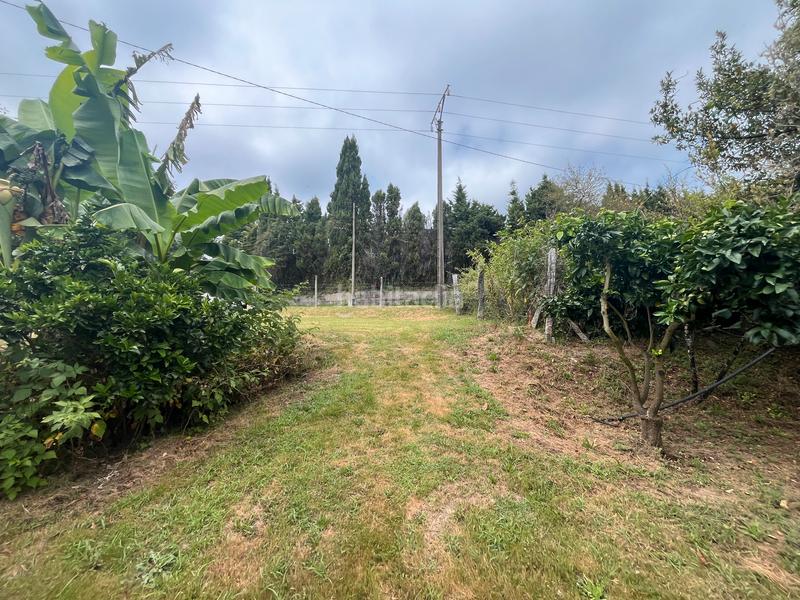 Foto 64a6b483-0e10-441a-9aa6-7fc66a8b362e. Finca rústica fincas a la venta en paraños en Covelo (O)