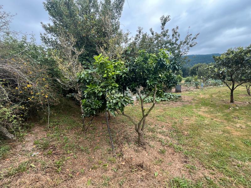 Foto 67893328-5c1b-45b2-9b62-340370ecb21e. Finca rústica fincas a la venta en paraños en Covelo (O)