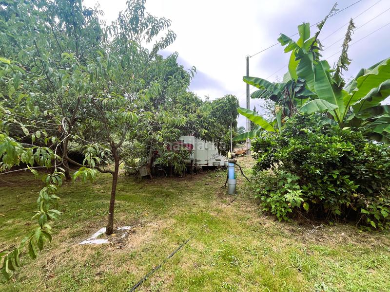 Foto 6848129c-b002-4ec1-b24f-3a4de4d299d7. Finca rústica fincas a la venta en paraños en Covelo (O)