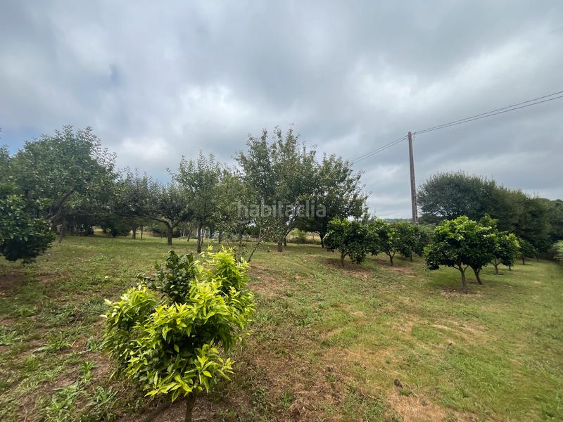 Foto 9c108d8c-a883-43dd-a122-6a18afb841c5. Finca rústica fincas a la venta en paraños en Covelo (O)