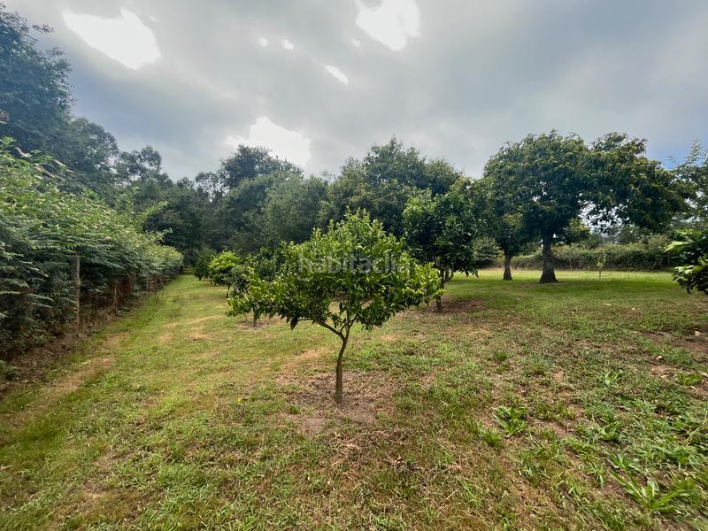 Foto ade7e96b-acbc-4f97-ba85-09135b5ab21b. Finca rústica fincas a la venta en paraños en Covelo (O)