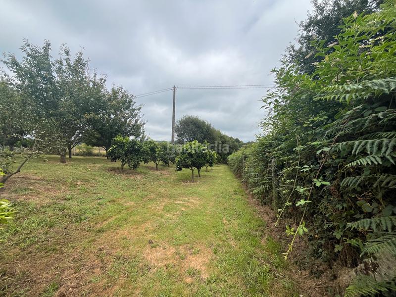 Foto c42fb01d-a344-48ab-b290-82a6e9811fa7. Finca rústica fincas a la venta en paraños en Covelo (O)