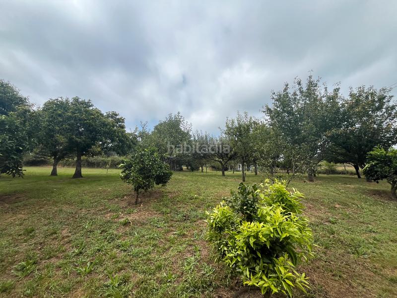 Foto dad571c7-c6f3-4e04-a403-03cb1cec59f7. Finca rústica fincas a la venta en paraños en Covelo (O)