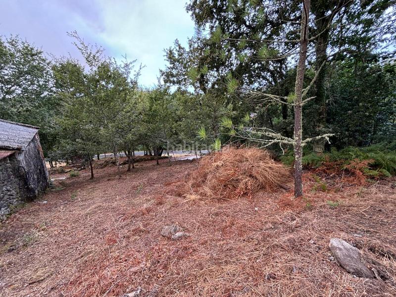 Foto 4663a529-b080-4a81-9d77-bf43f6eeb204. Finca rústica casa para restaurar cerca de a cañiza en Cañiza (A)