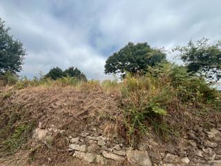 Terreny residencial a Covelo (O). Se vende finca edificable en el casco urbano de paraños
