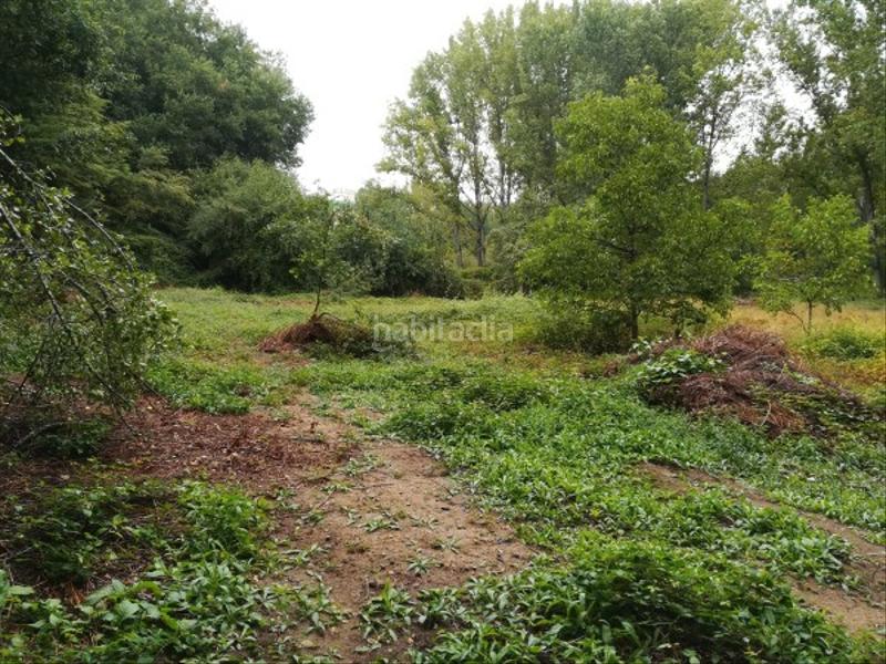 Foto 3b41175b-bd05-4b07-914b-170a2b056b7b. Finca rústica extensa finca en Leiro