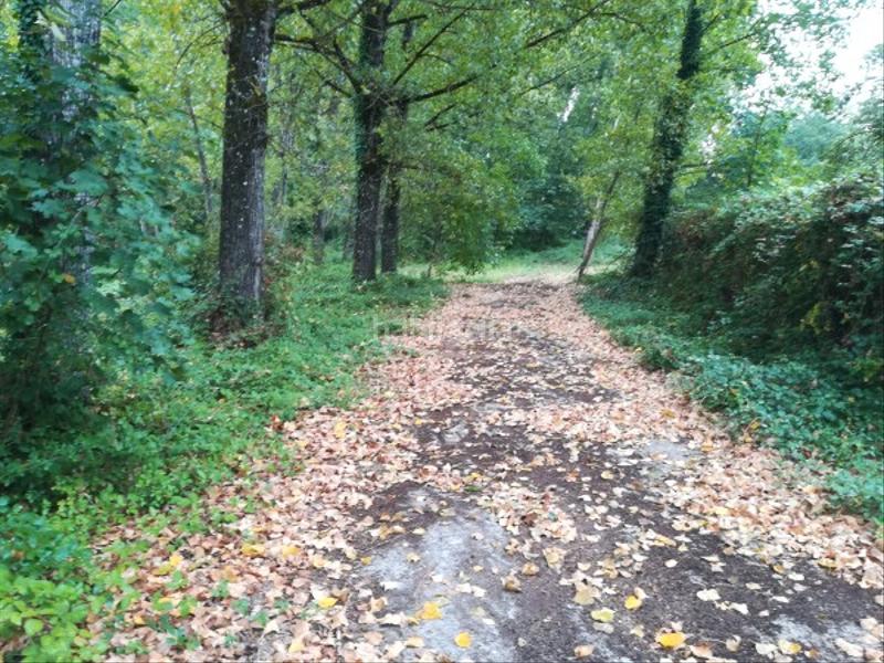 Foto 54540e34-6fde-43d6-a2a8-043e7c44c782. Finca rústica extensa finca en Leiro