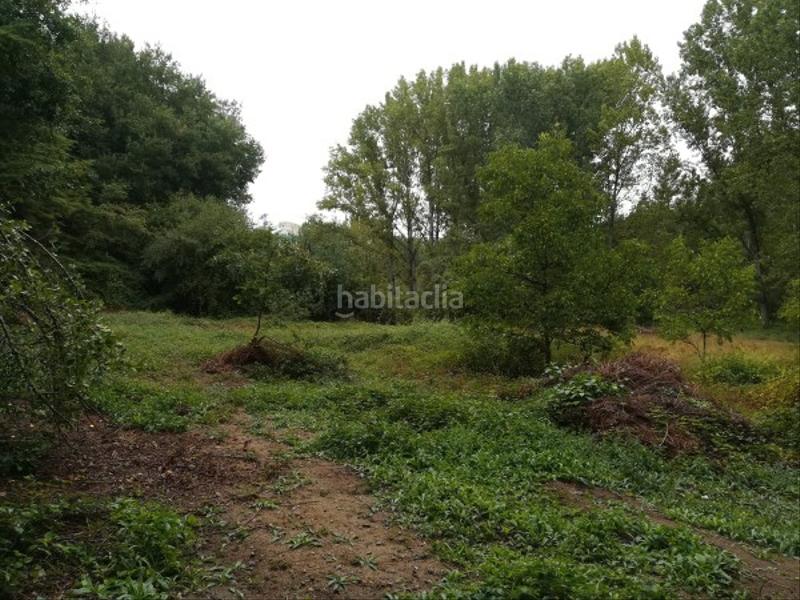 Foto 79f883d3-f10d-47a9-a177-32d7cb425152. Finca rústica extensa finca en Leiro