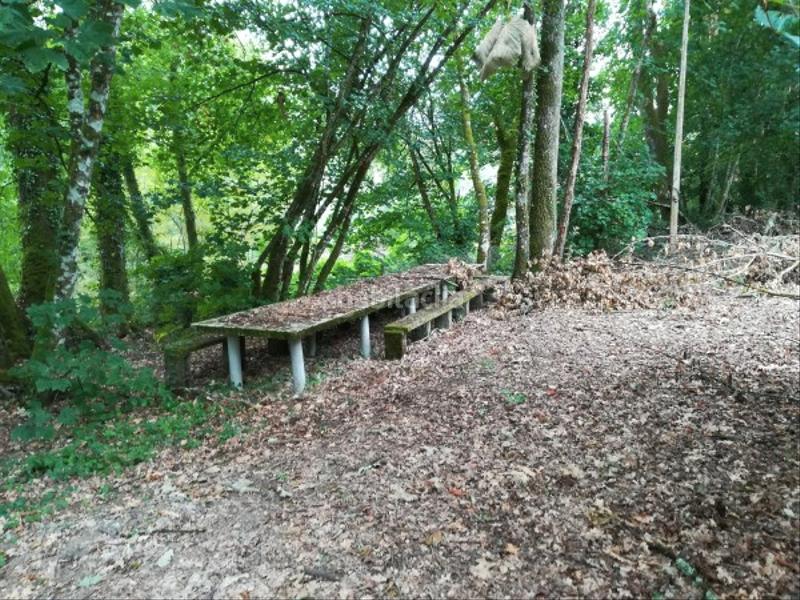 Foto 9020102a-25e6-45a4-9c2f-671d02bd753a. Finca rústica extensa finca en Leiro