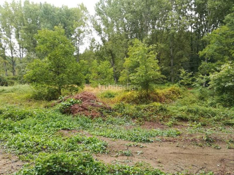 Foto ab750a50-83c3-4a8f-a36b-b15b98c5c237. Finca rústica extensa finca en Leiro