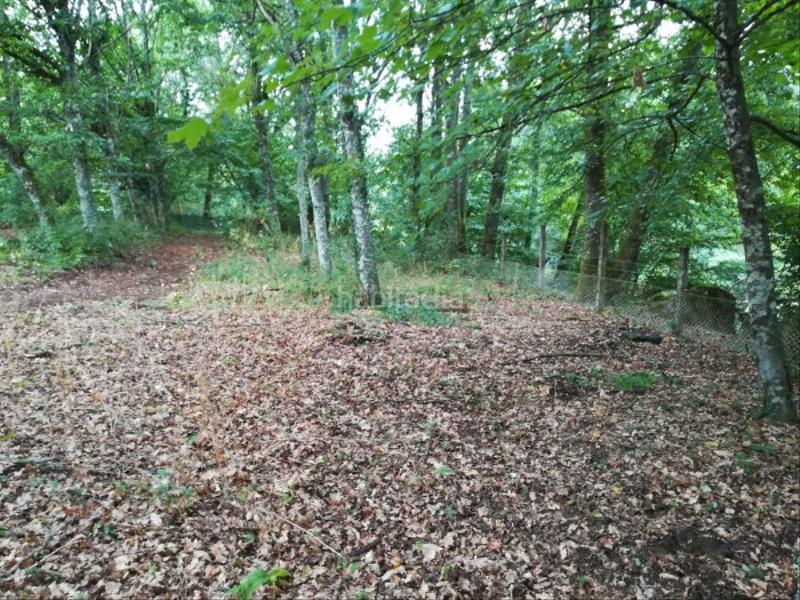 Foto c3bb926b-2dce-4738-a839-7ac3672c0c1c. Finca rústica extensa finca en Leiro