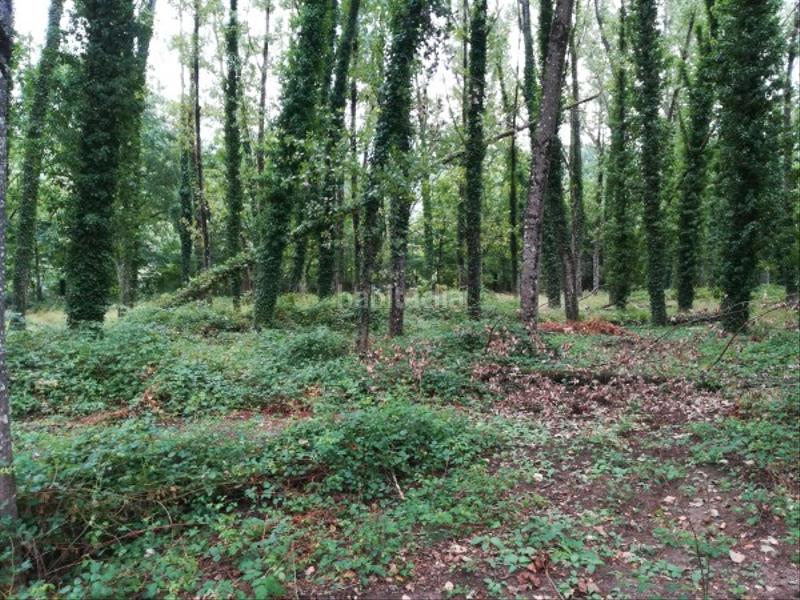 Foto fd3926bf-d8bf-4652-bb6f-f8e7085d046c. Finca rústica extensa finca en Leiro