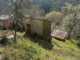 Finca rústica a Arbo. Conjunto de parcelas rústicas en venta en mourentán - arbo