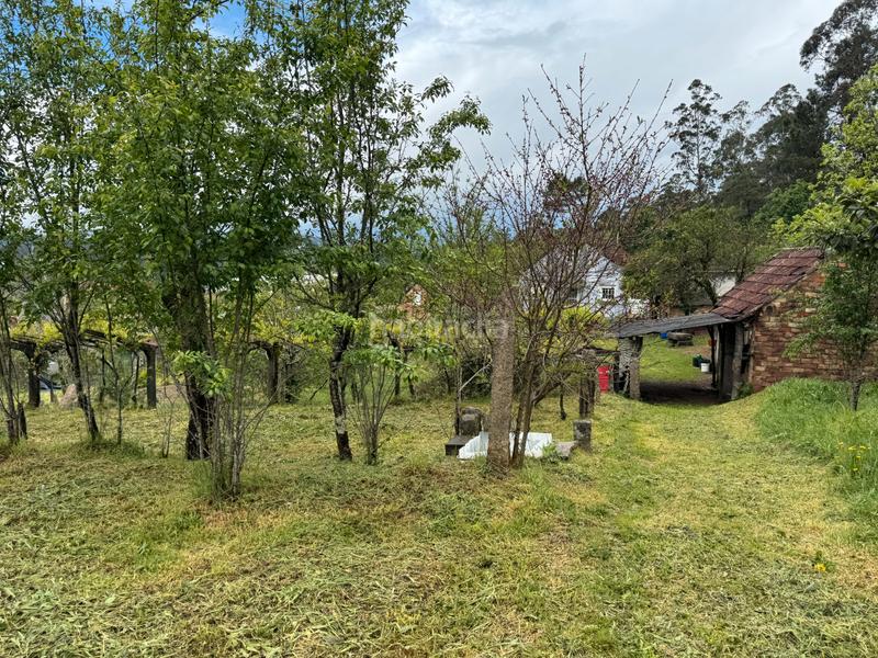 Foto 45f75c9b-cf08-409a-b59a-de8bc51ada58. Casa  a la venta en Mos