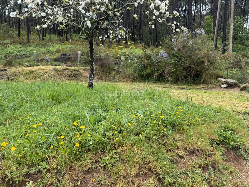 Foto 741dba12-6e3d-4176-be2a-2d9ee172d949. Casa  a la venta en Mos