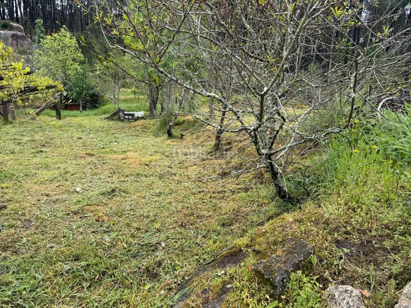 Foto 95e13343-8fbb-4460-8be9-54104a14f630. Casa  a la venta en Mos