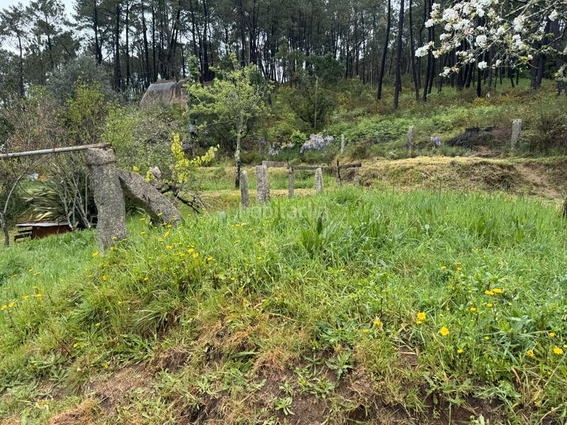 Foto bb44a4e3-ebf0-4c43-942d-9a700ce6a08b. Casa  a la venta en Mos