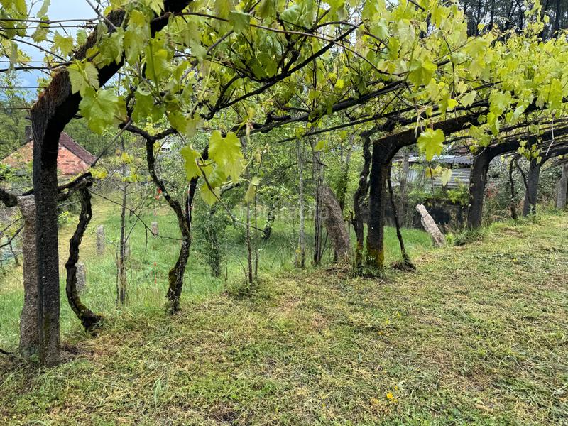 Foto c4c73c81-f142-4f90-8312-ff75db7ab0f0. Casa  a la venta en Mos