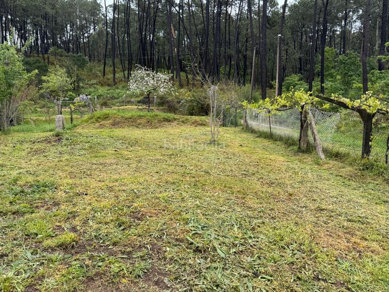 Foto c5b0c1e8-71aa-4c27-bc8f-593d06b391d4. Casa  a la venta en Mos