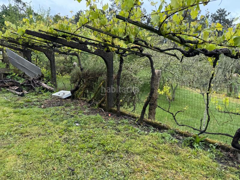 Foto d6af641d-7999-453a-aabc-73b1841fa1fc. Casa  a la venta en Mos