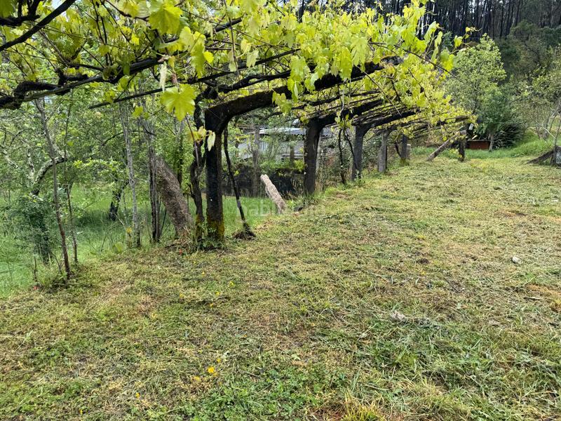 Foto df904c7d-6e30-468a-92e4-f3d6ebe8ed48. Casa  a la venta en Mos