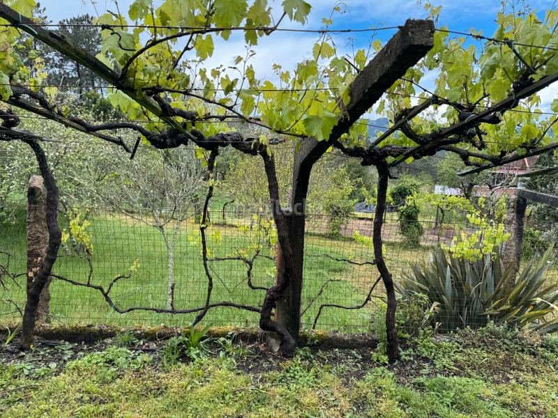 Foto e167dea5-8a38-4f2b-8fd9-8e55f87de8de. Casa  a la venta en Mos