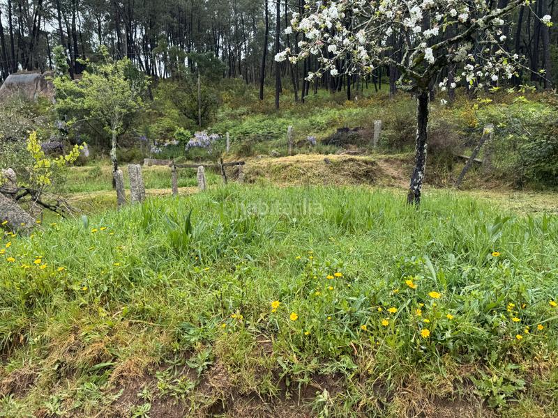 Foto e31150de-9dc5-4d84-abb9-200b68756ef6. Casa  a la venta en Mos