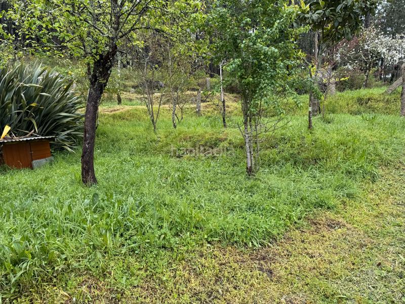 Foto edc699ee-f02b-4b7b-9e59-dfa8b377326e. Casa  a la venta en Mos