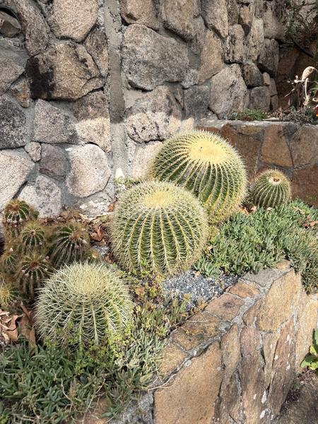 Foto 72000b57-6b3c-4059-912d-c1e863f9864d. Casa  a la venta en Montederramo