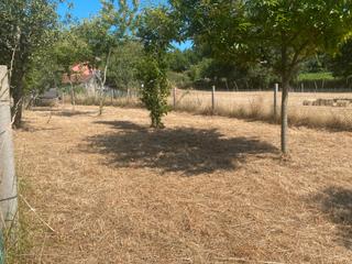 Propriété à Cañiza (A). Finca rústica en venta en casco urbano de a cañiza