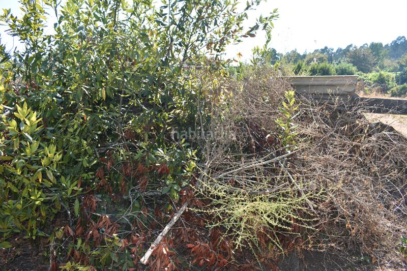 Foto a446a018-5b2b-4186-b3ce-3ed2a09589d5. Terreno residencial terreno edificable en cequeliños - en Arbo