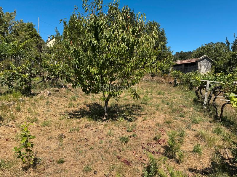 Foto fee50285-f884-454e-b9d5-1398bc98f3da. Casa en venta casa de piedra para rehabilitar en Crecente