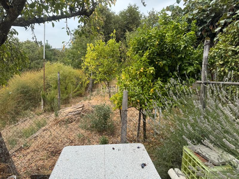 Foto 355e256c-354c-4612-95aa-29eb296705c7. Casa a Padrenda