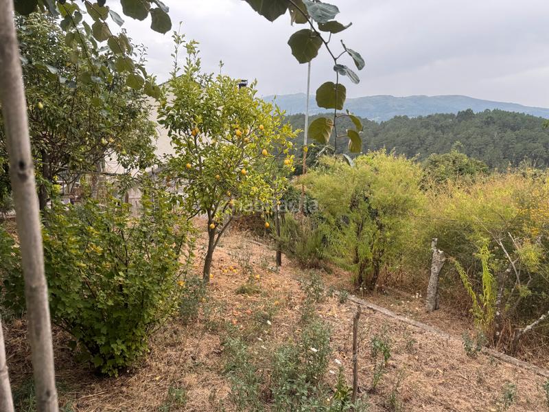 Foto c3e431bb-d992-4c3e-8944-5c6bea29d86f. Casa a Padrenda