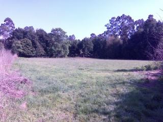 Rural plot in Cañiza (A)