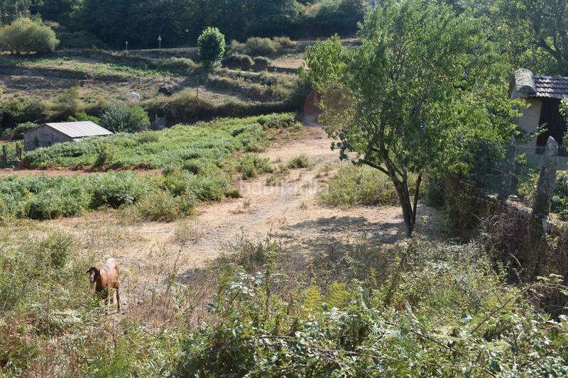 Foto bafed20b-4da2-4266-9d5d-ca7617044ea0. Casa a Covelo (O)
