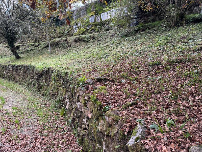 Foto d074db27-7fa6-4de0-b213-ff24a6eb9d71. Casa en venta casa habitable en a cañiza en Cañiza (A)