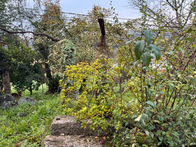 Foto 213164a5-e0da-4f0f-98c7-d9e35a289fc6. Alquiler casa adosada casita en alquiler en Arbo