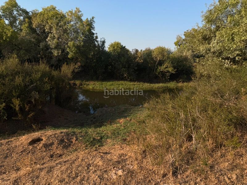 Foto a3e84c00-ac07-4043-8513-276bf0ffb6f0. Finca rústica a Norte Mérida