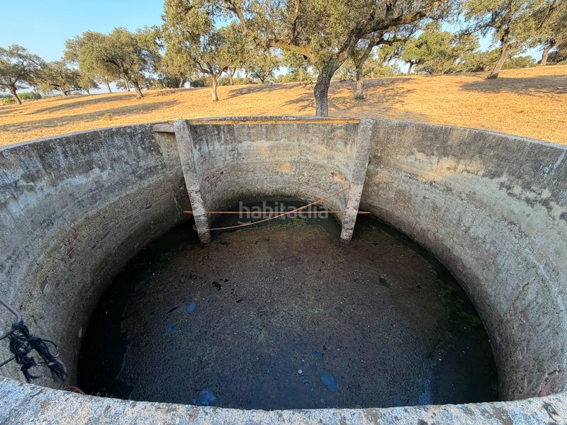 Foto cf609443-1d2c-4a0c-b015-2ea1bfe6edd5. Finca rústica a Norte Mérida