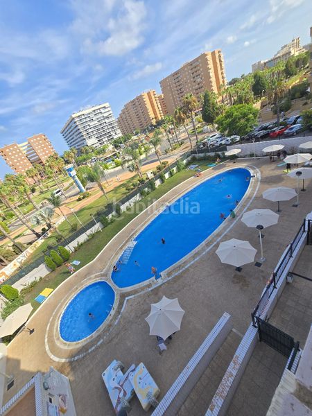 Foto 1cc1a211-e71d-489c-9914-f295e942bf01. Pis amb calefacció aparcament piscina a Marina Trebol - Neptuno Oropesa del Mar