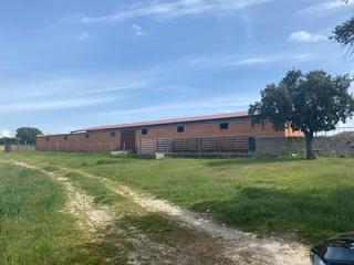Propriété à N/a. Finca ganadera en mingorría, ávila