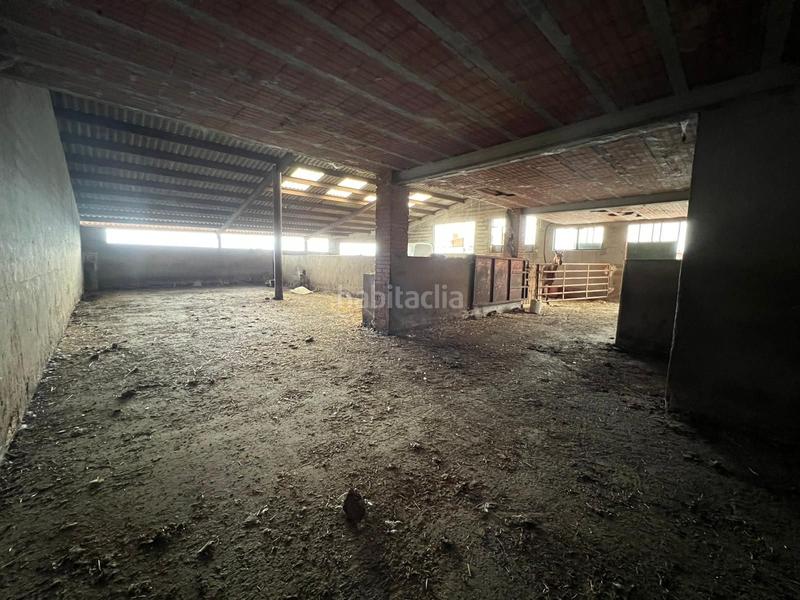 Foto 2dcbc6e7-781a-4913-966a-78f652f93acd. Nave industrial nave en el barraco, ávila en Barraco (El)