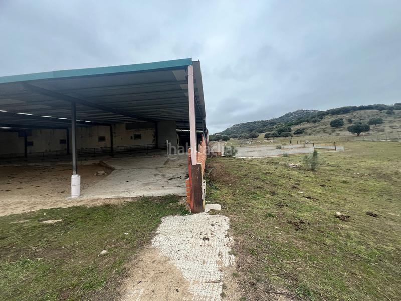 Foto ee81759f-6f6f-4237-ac30-eb65f34fb38a. Local comercial a San Bartolomé de Pinares